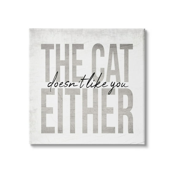 Stupell Industries The Cat Doesn't Like You Either Pet Phrase, 17 x 17, Design by Daphne Polselli