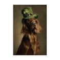 thumbnail image 1 of Stupell Industries Farmhouse The Irish Setter Portrait Canvas Art, 24 x 36, by Tina LeCour, 1 of 8