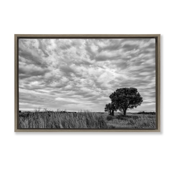 Stupell Industries The Right Tree Cloudscape Brown Framed Floater Canvas Wall Art, design by Jon Evan