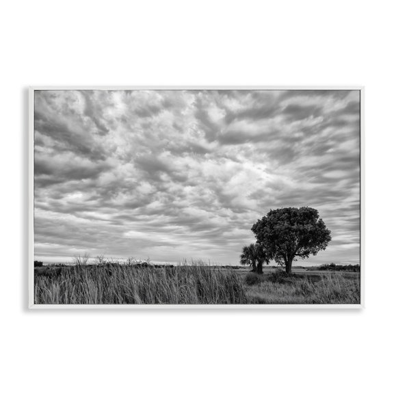 Stupell Industries The Right Tree Cloudscape White Framed Giclee Art, design by Jon Evan