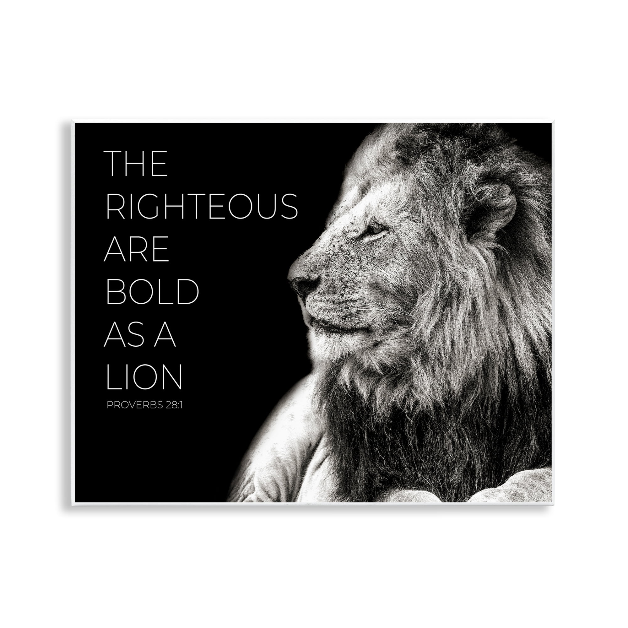 Stupell Industries The Righteous Bold As A Lion Wall Plaque Art, design by Shelley Lake