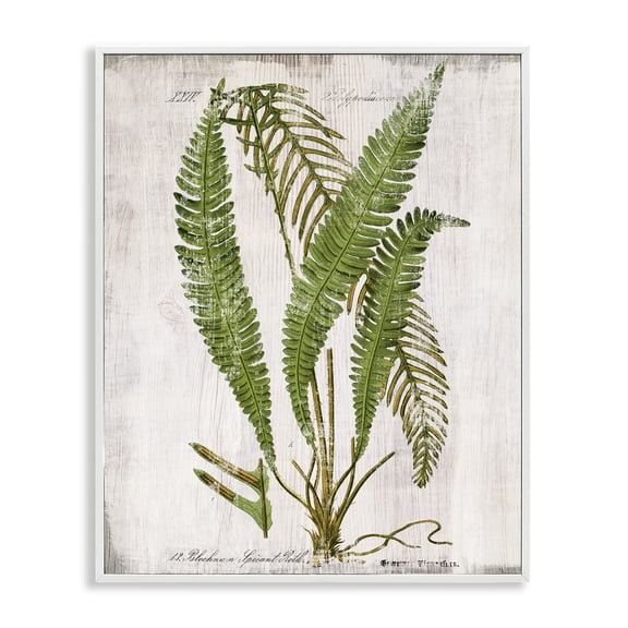 Stupell Industries Thin Fern Leaves Study Plants & Flowers Painting White Framed Art Print Wall Art, 11 x 14