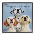 thumbnail image 1 of Stupell Industries Cottage Things Are Looking Up Black Framed Giclee Art, 12 x 12, by Kim Curinga, 1 of 8