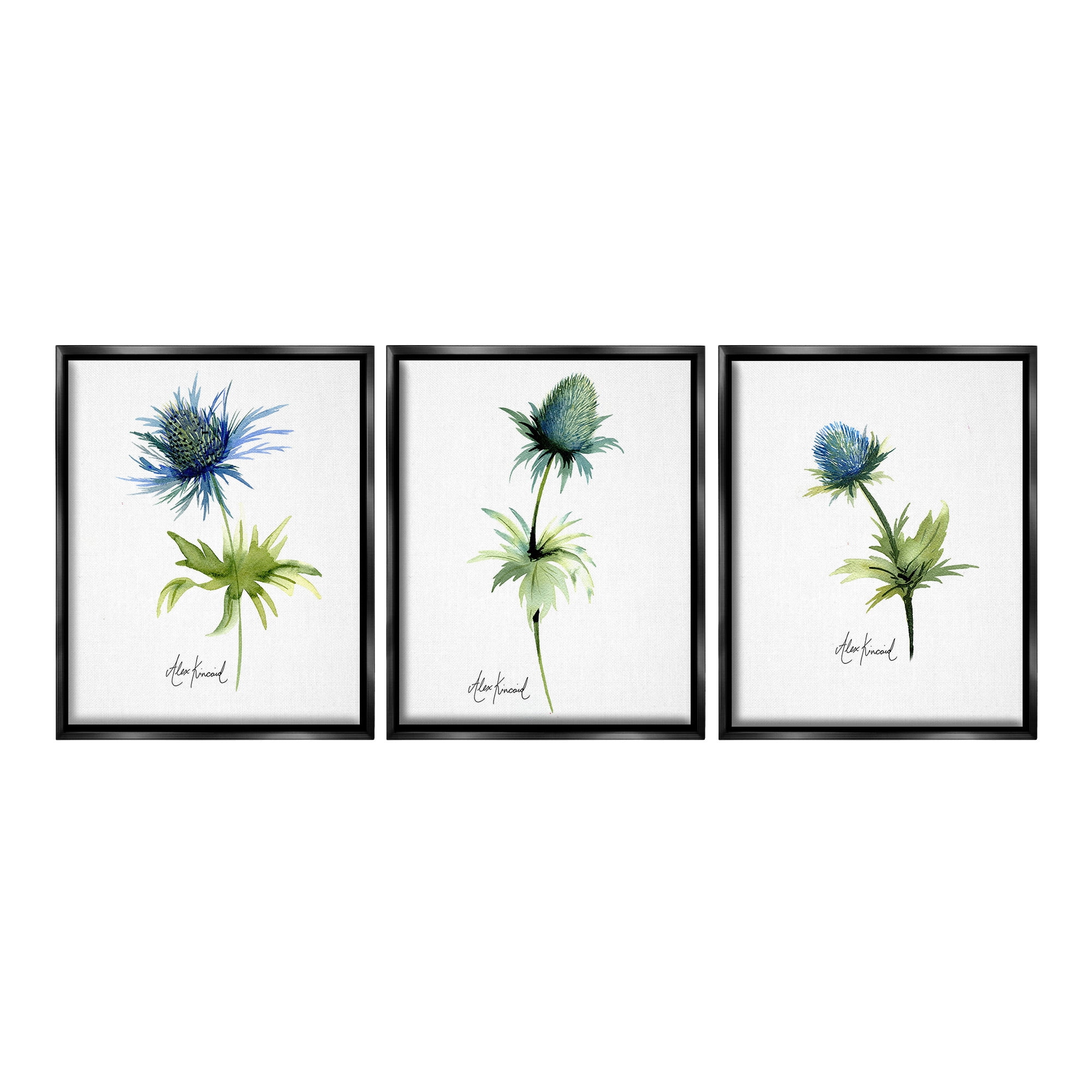 Stupell Industries Thistle Watercolors on White Botanical & Floral Painting Black Floater Framed Canvas Art Print Wall Art, 17 x 21, Set of 3
