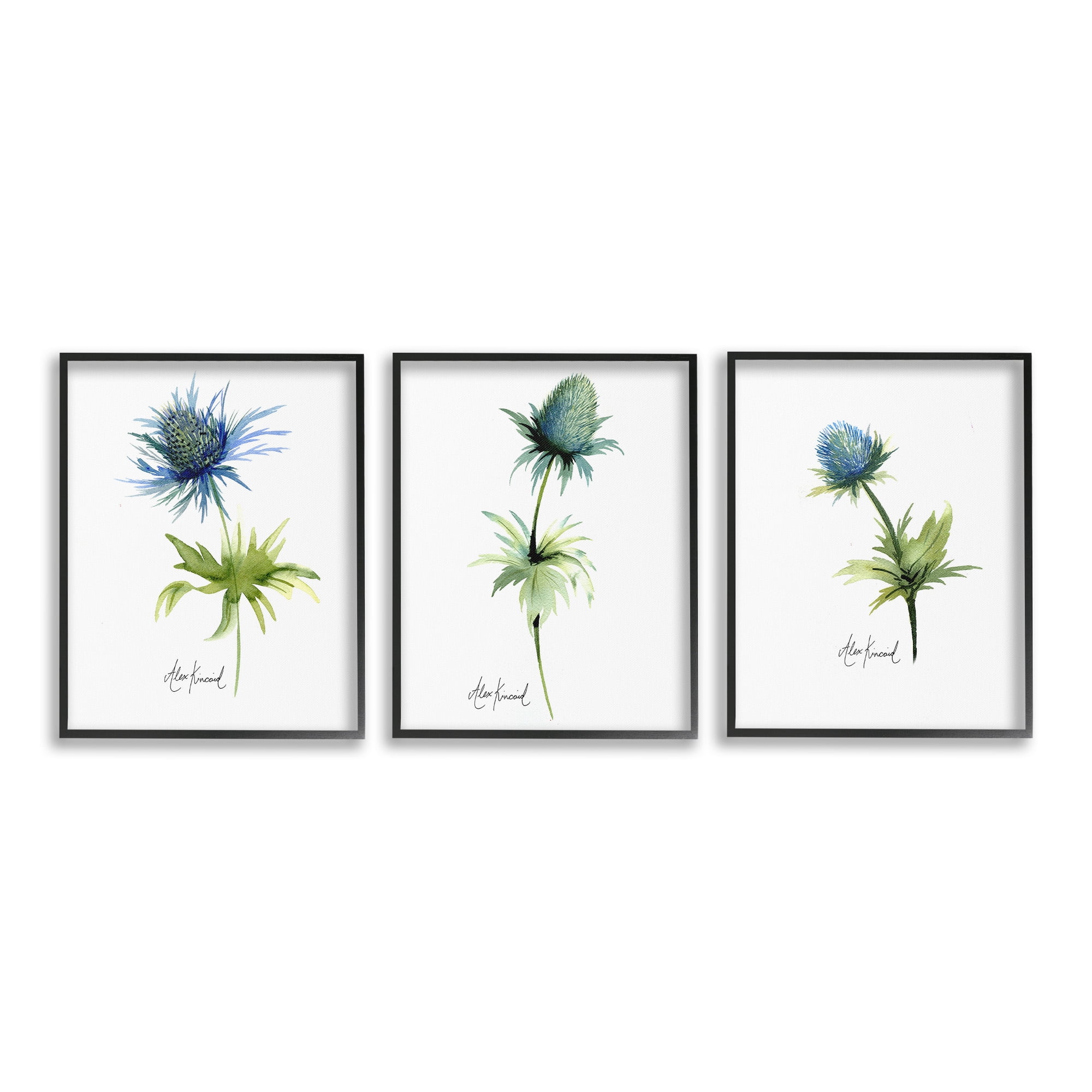 Stupell Industries Thistle Watercolors on White Botanical & Floral Painting Black Framed Art Print Wall Art, 11 x 14, Set of 3