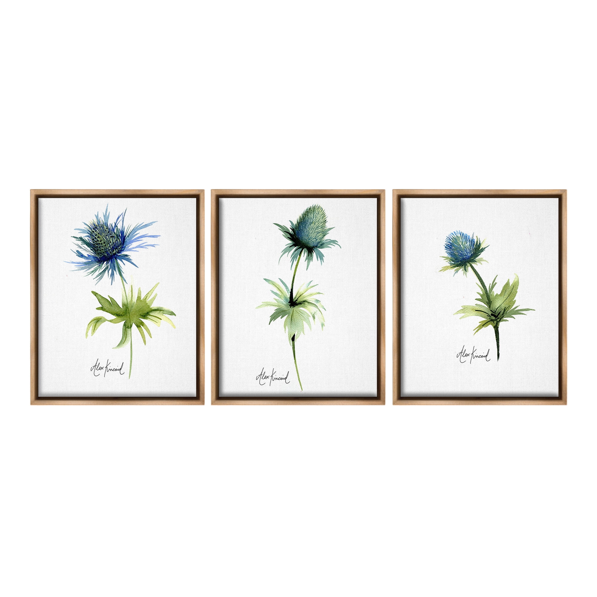 Stupell Industries Thistle Watercolors on White Botanical & Floral Painting Brown Floater Framed Canvas Art Print Wall Art, 17 x 21, Set of 3