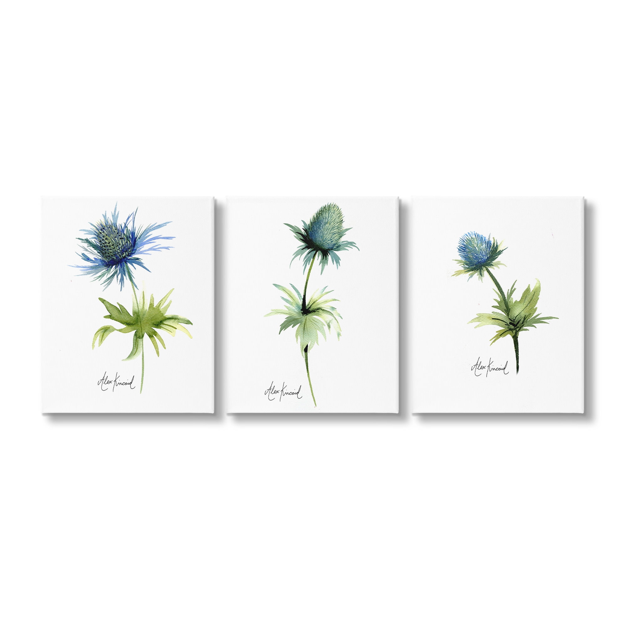Stupell Industries Thistle Watercolors on White Botanical & Floral Painting Gallery Wrapped Canvas Art Print Wall Art, 24 x 30, Set of 3