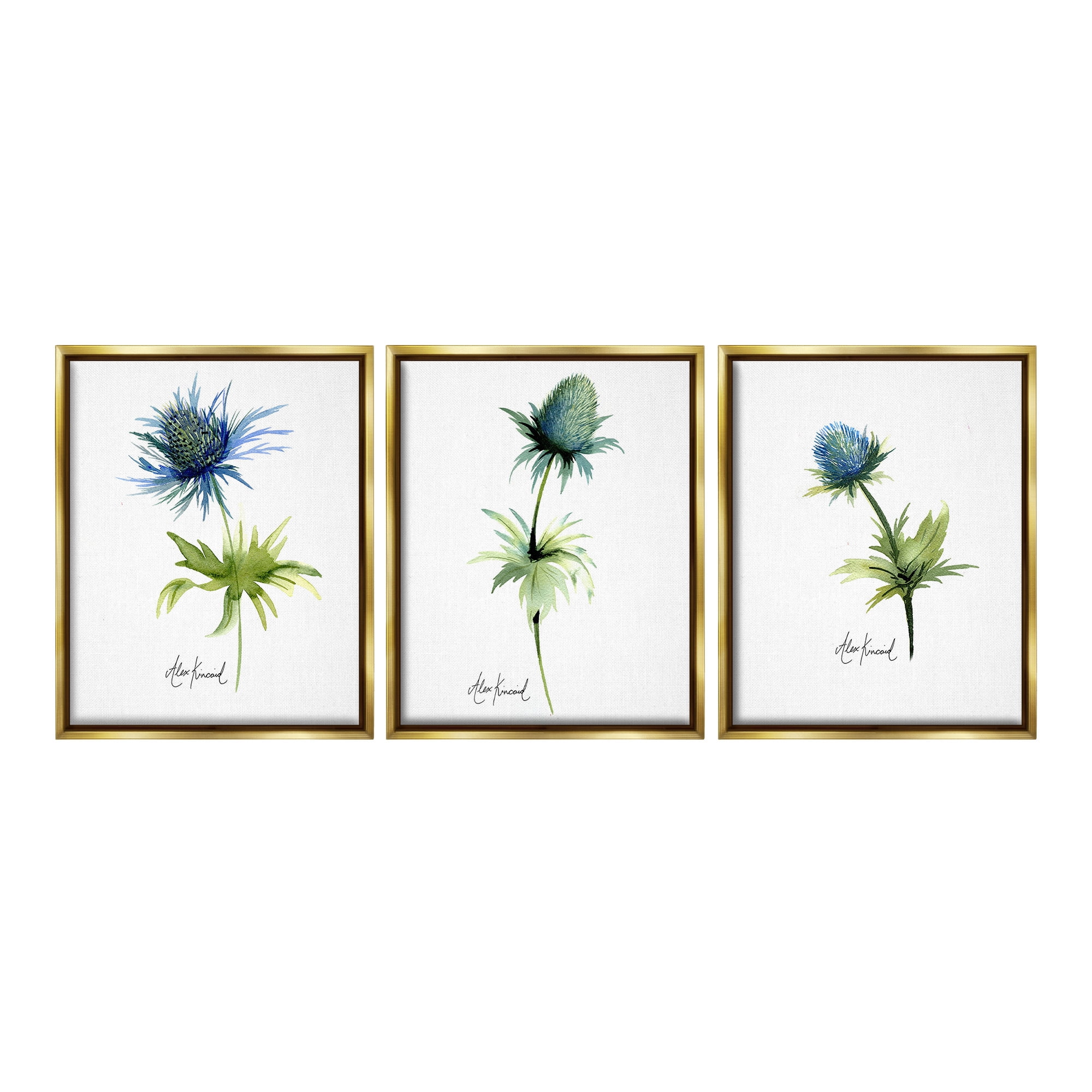 Stupell Industries Thistle Watercolors on White Botanical & Floral Painting Gold Floater Framed Canvas Art Print Wall Art, 17 x 21, Set of 3