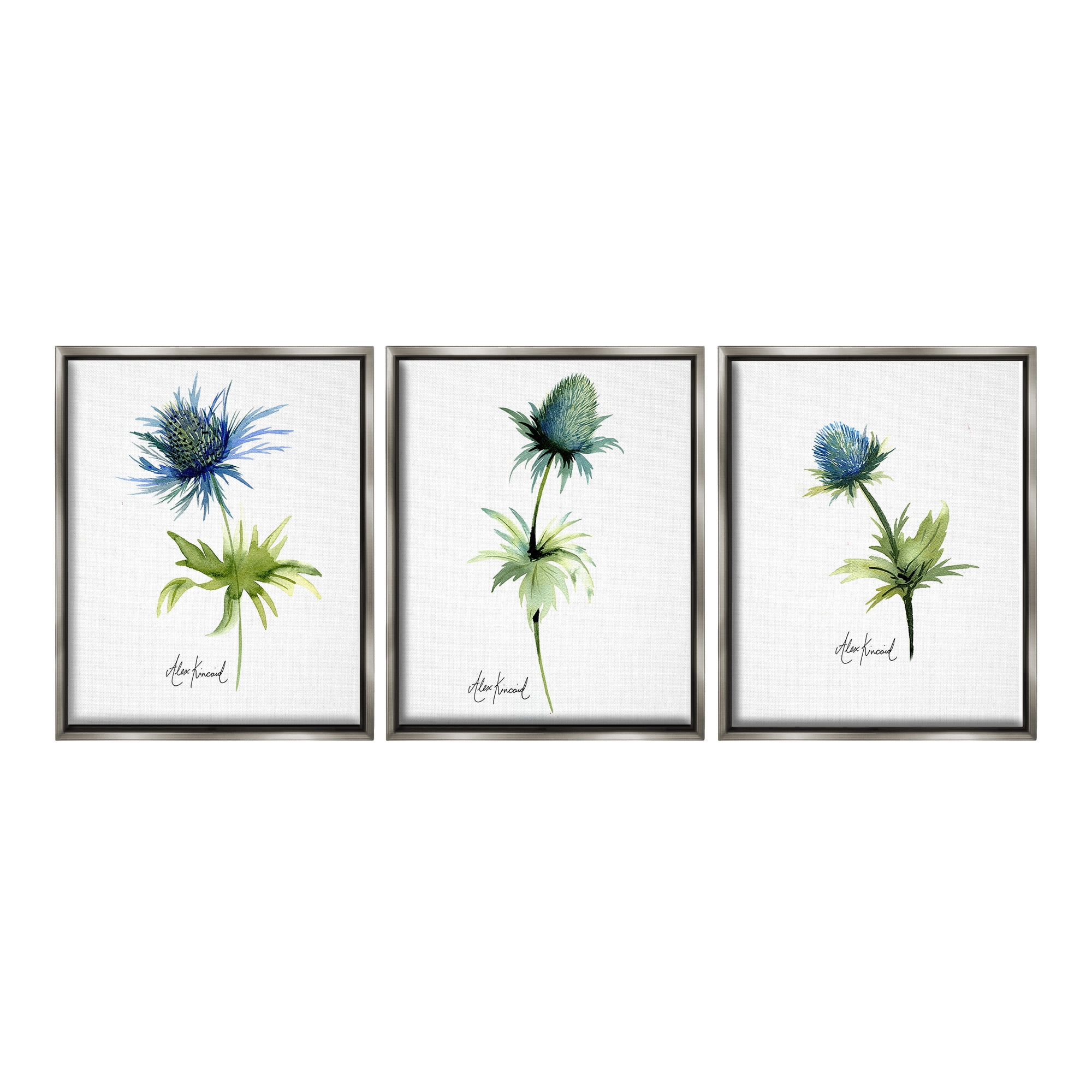 Stupell Industries Thistle Watercolors on White Botanical & Floral Painting Gray Floater Framed Canvas Art Print Wall Art, 17 x 21, Set of 3