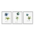 thumbnail image 1 of Stupell Industries Thistle Watercolors on White Botanical & Floral Painting Gray Framed Art Print Wall Art, 24 x 30, Set of 3, 1 of 10