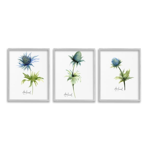 Stupell Industries Thistle Watercolors on White Botanical & Floral Painting Gray Framed Art Print Wall Art, 24 x 30, Set of 3