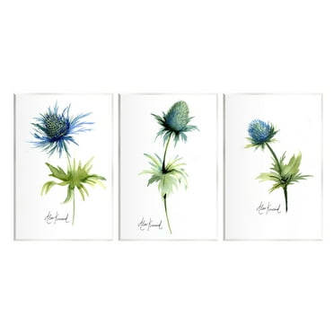 Stupell Industries Thistle Watercolors on White Botanical & Floral Painting Unframed Art Print Wall Art, 10 x 15, Set of 3