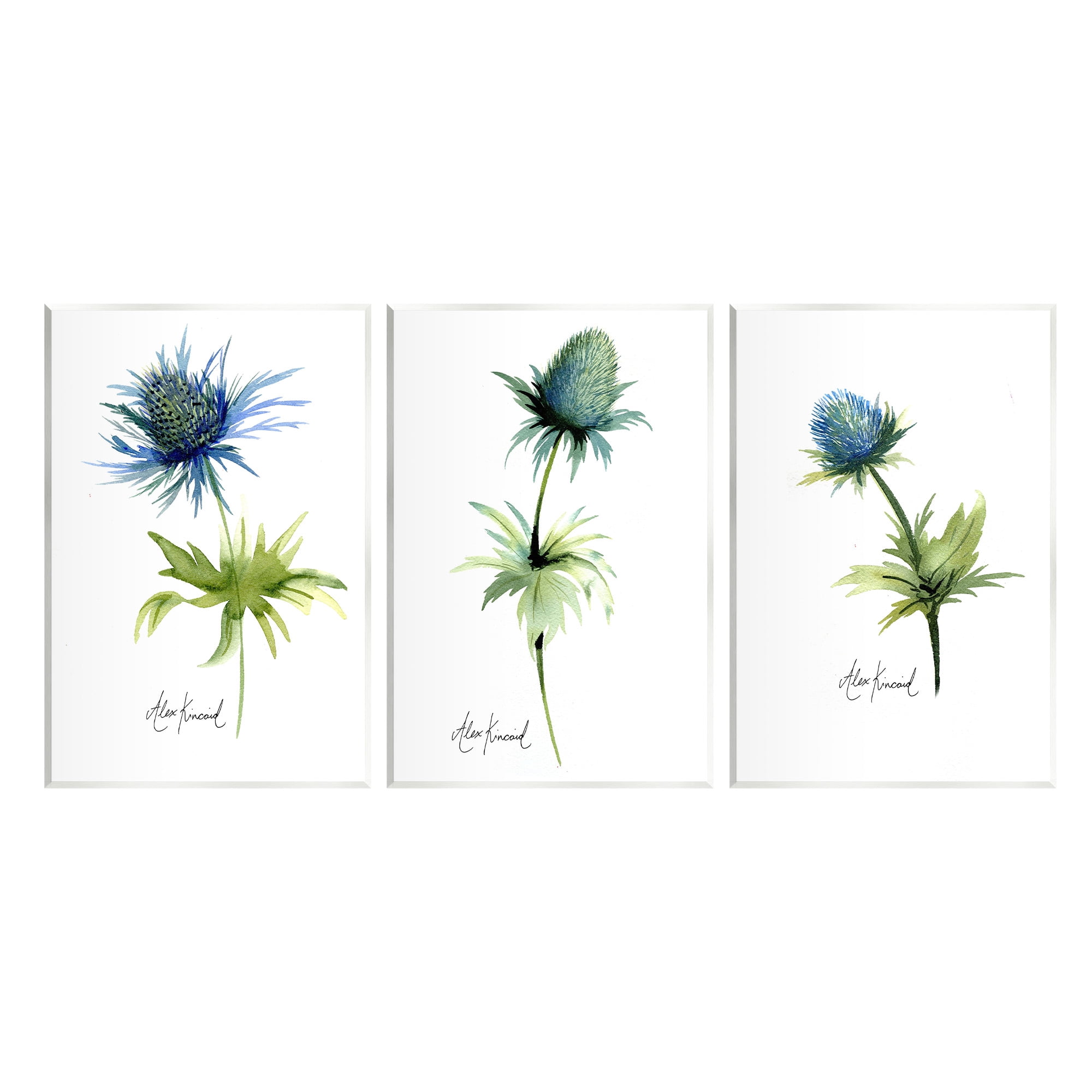 Stupell Industries Thistle Watercolors on White Botanical & Floral Painting Unframed Art Print Wall Art, 13 x 19, Set of 3