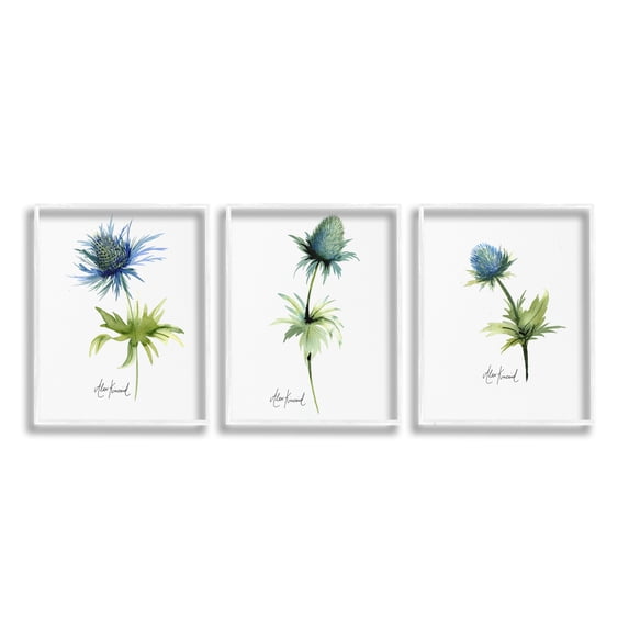 Stupell Industries Thistle Watercolors on White Botanical & Floral Painting White Framed Art Print Wall Art, 11 x 14, Set of 3