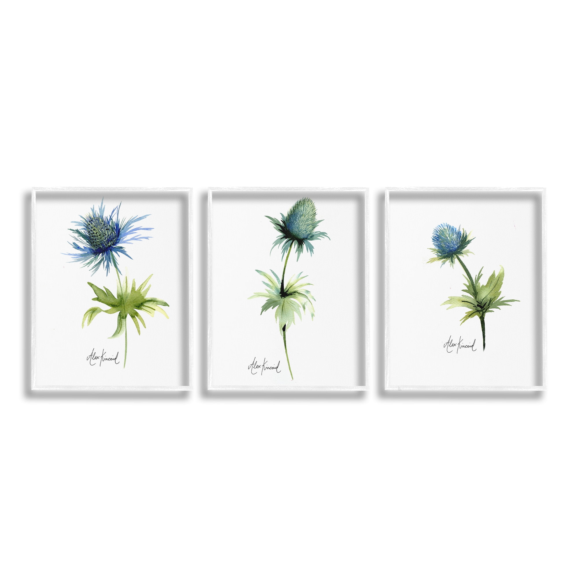 Stupell Industries Thistle Watercolors on White Botanical & Floral Painting White Framed Art Print Wall Art, 24 x 30, Set of 3