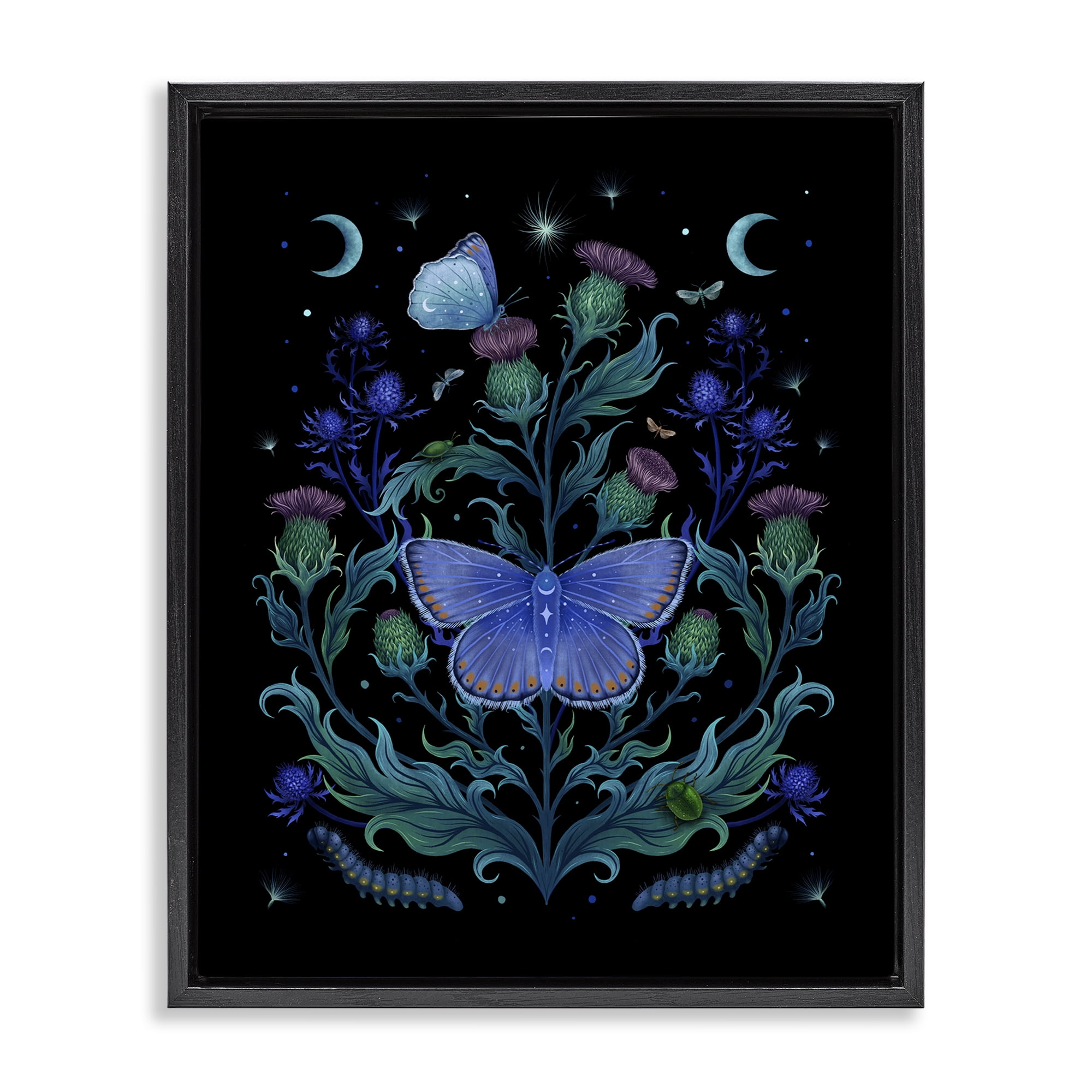 Stupell Industries Thistles & Insects at Night Black Framed Floater Canvas Wall Art, design by Episodic Drawings