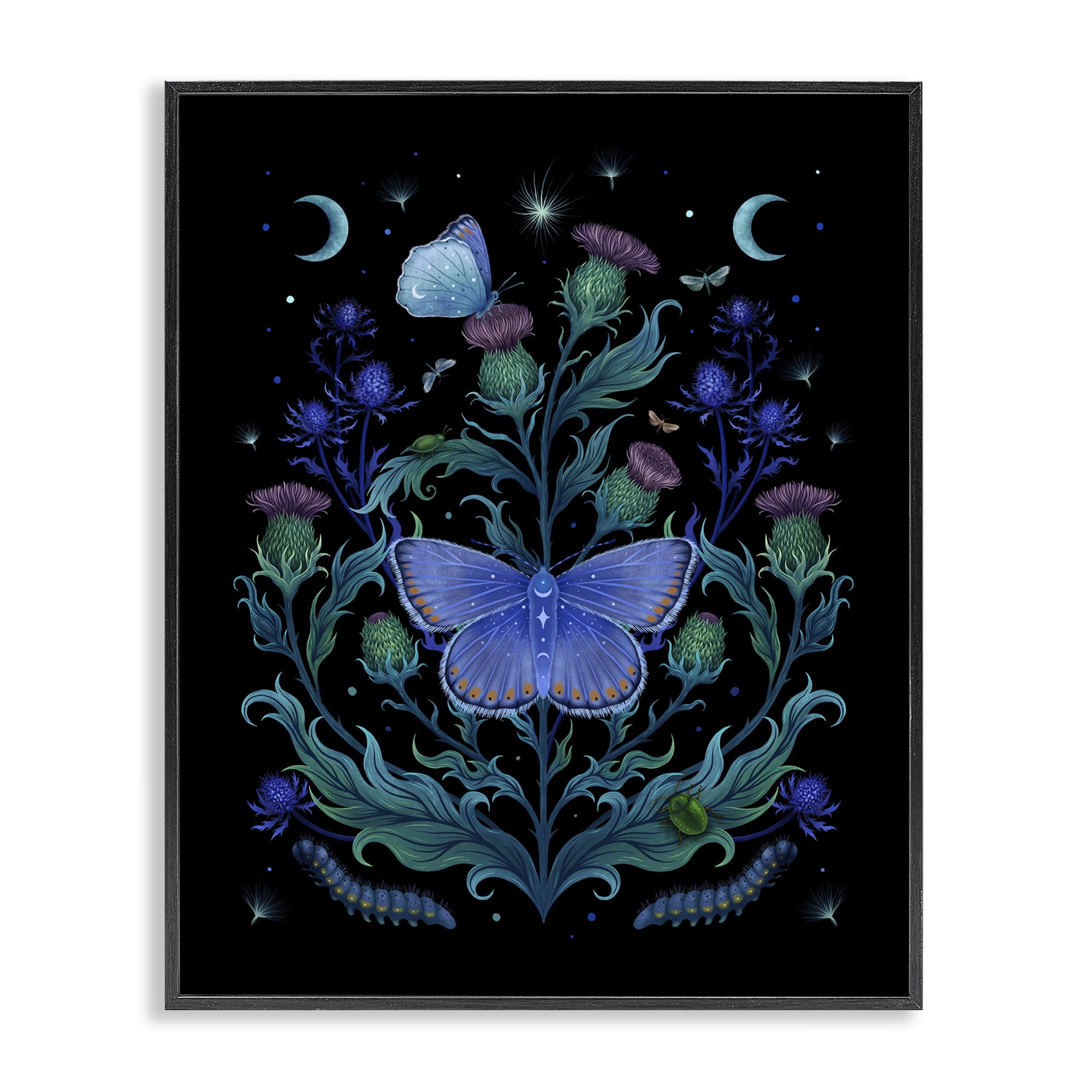 Stupell Industries Thistles & Insects at Night Black Framed Giclee Art, design by Episodic Drawings