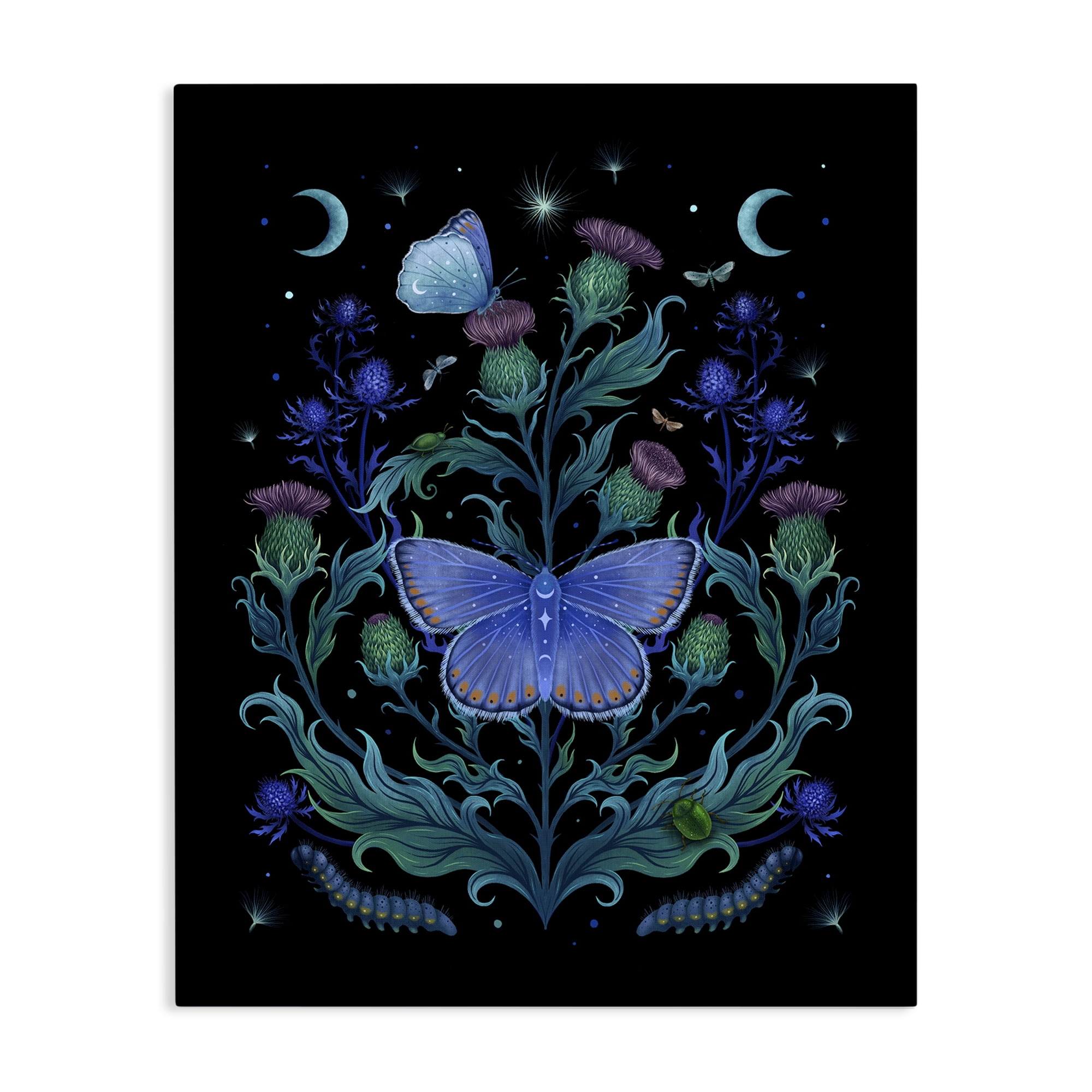 Stupell Industries Thistles & Insects at Night Canvas Wall Art, design by Episodic Drawings