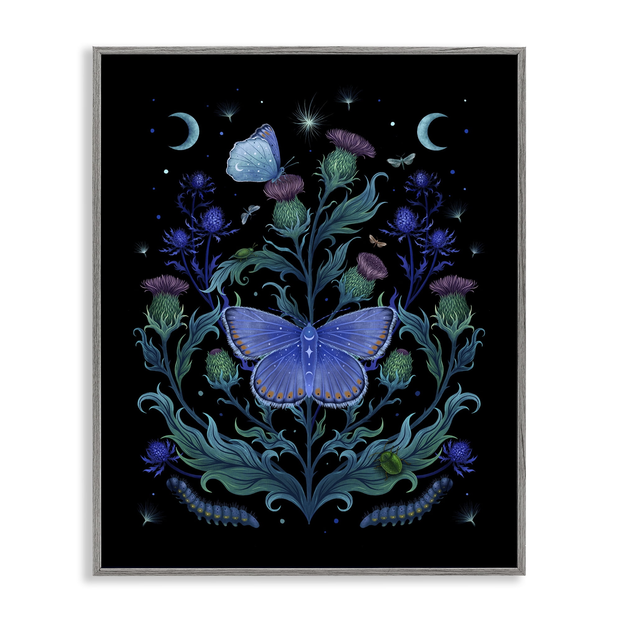 Stupell Industries Thistles & Insects at Night Gray Framed Giclee Art, design by Episodic Drawings
