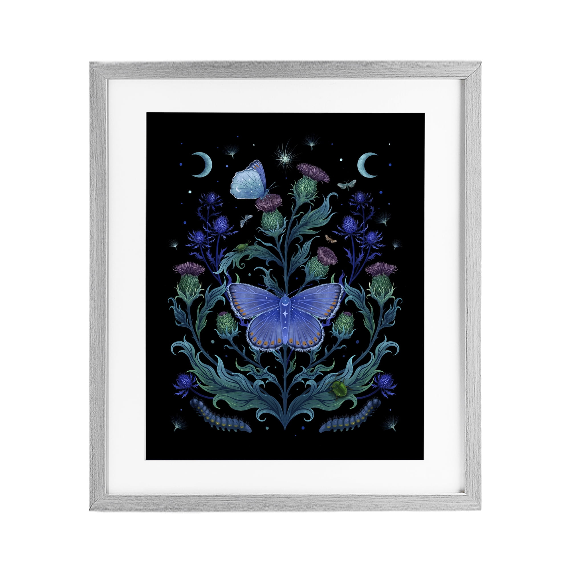 Stupell Industries Thistles & Insects at Night Gray Framed Print Under Glass, design by Episodic Drawings