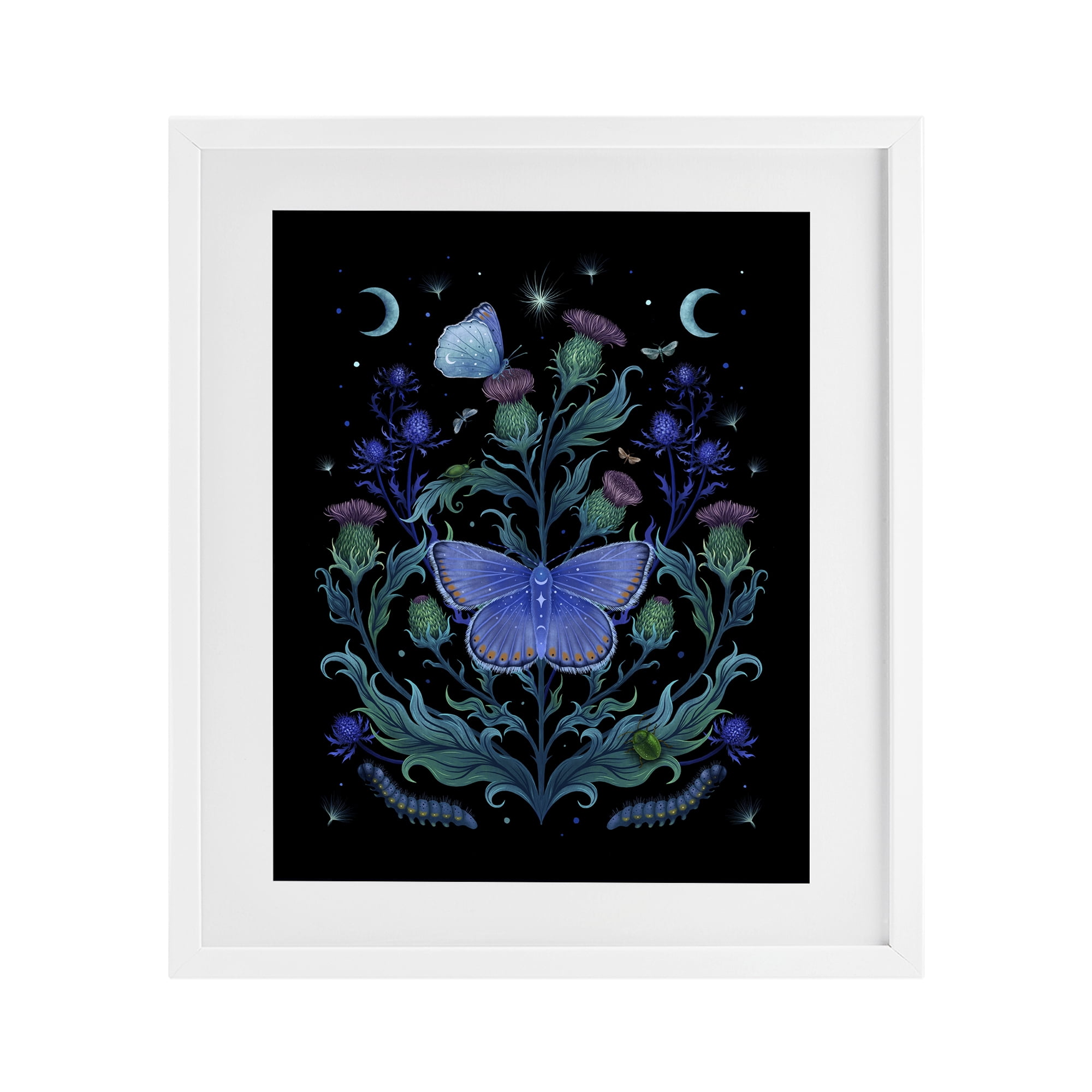 Stupell Industries Thistles & Insects at Night White Framed Print Under Glass, design by Episodic Drawings