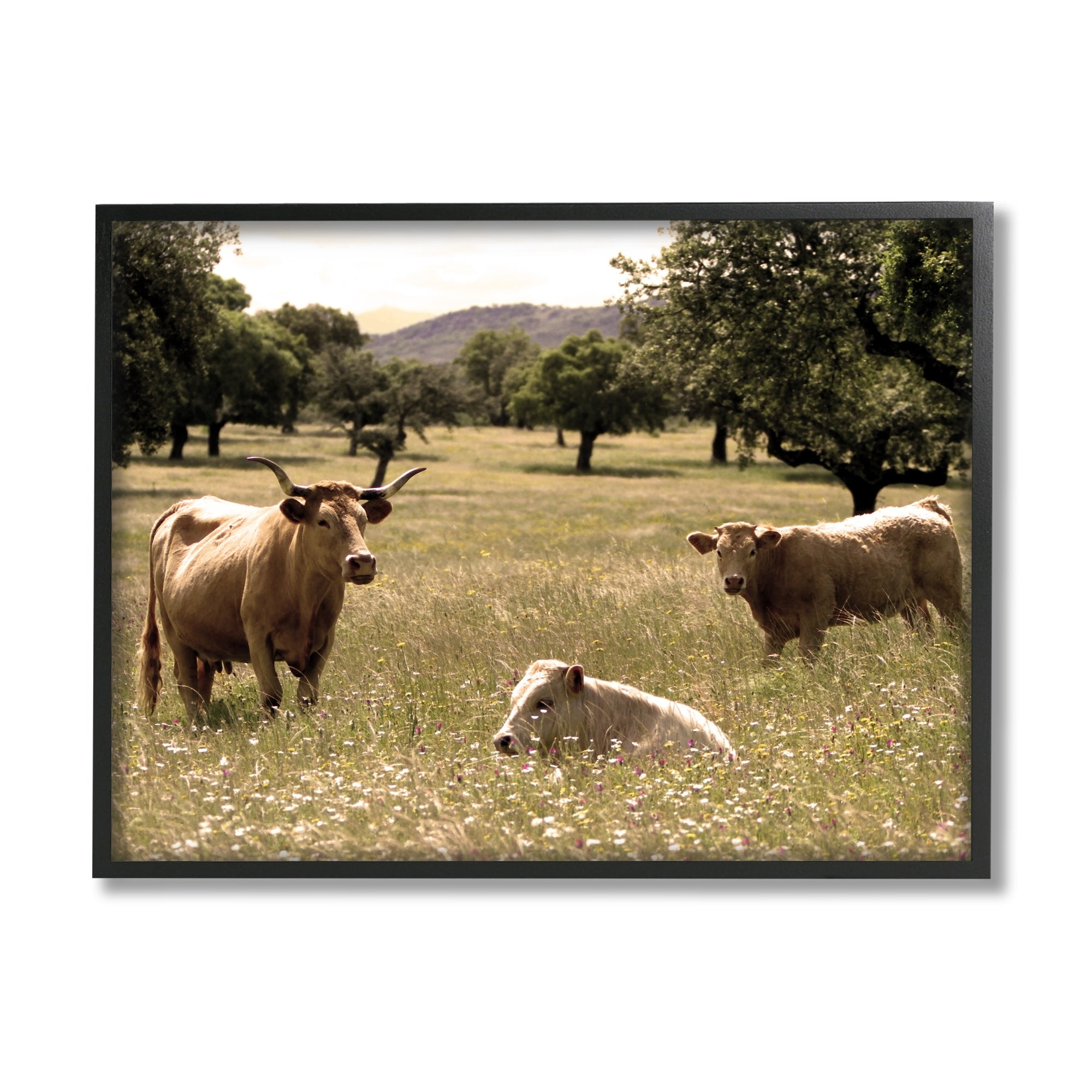 Stupell Industries Three Cattle Relaxing Grassland Pasture Rural Farm Trees Photograph Black Framed Art Print Wall Art, Design by Daphne Polselli
