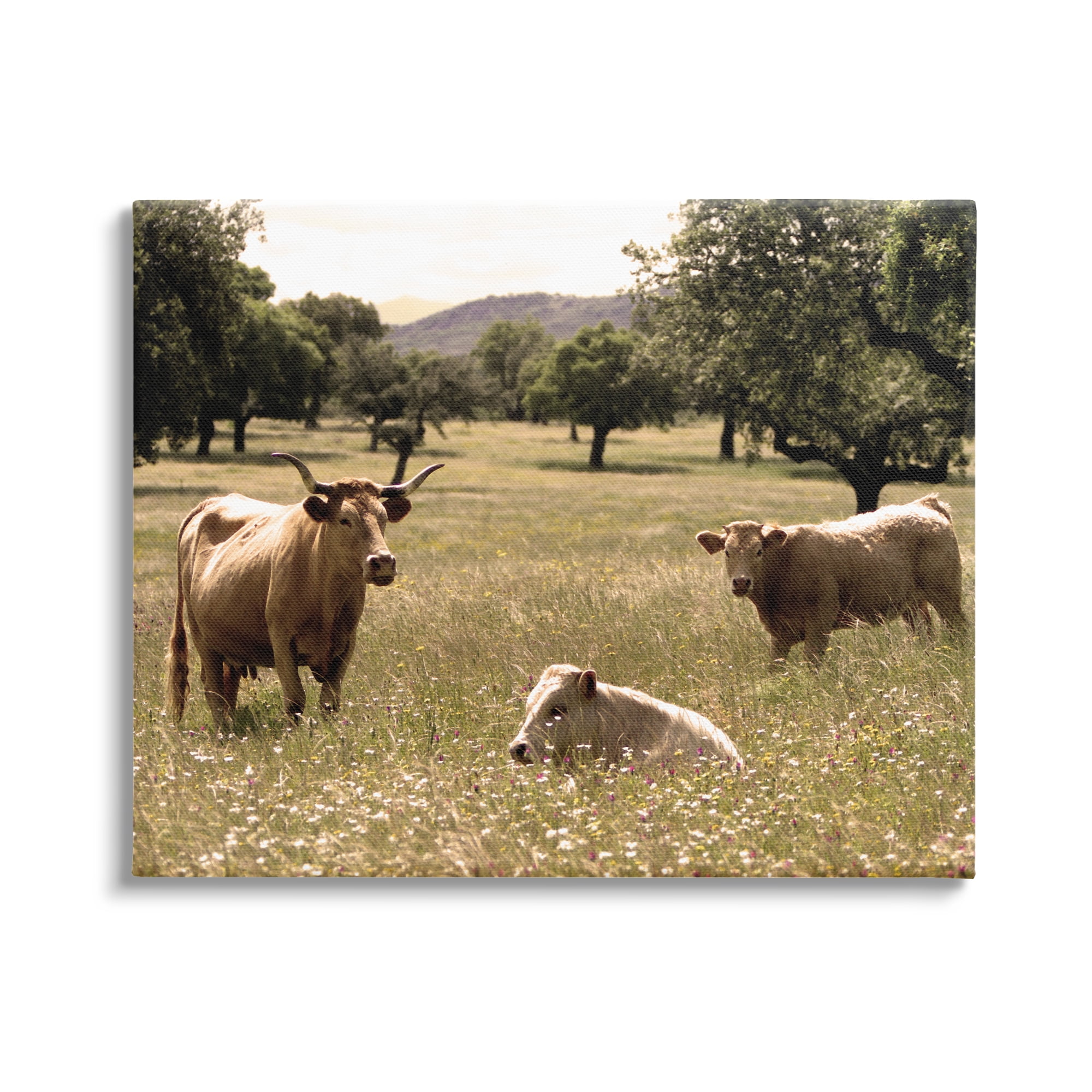Stupell Industries Three Cattle Relaxing Grassland Pasture Rural Farm Trees Photograph Gallery Wrapped Canvas Print Wall Art, Design by Daphne Polselli