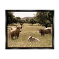thumbnail image 1 of Stupell Industries Three Cattle Relaxing Grassland Pasture Rural Farm Trees Photograph Jet Black Floating Framed Canvas Print Wall Art, Design by Daphne Polselli, 1 of 5