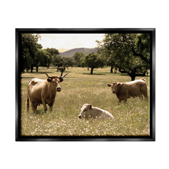 Stupell Industries Three Cattle Relaxing Grassland Pasture Rural Farm Trees Photograph Jet Black Floating Framed Canvas Print Wall Art, Design by Daphne Polselli