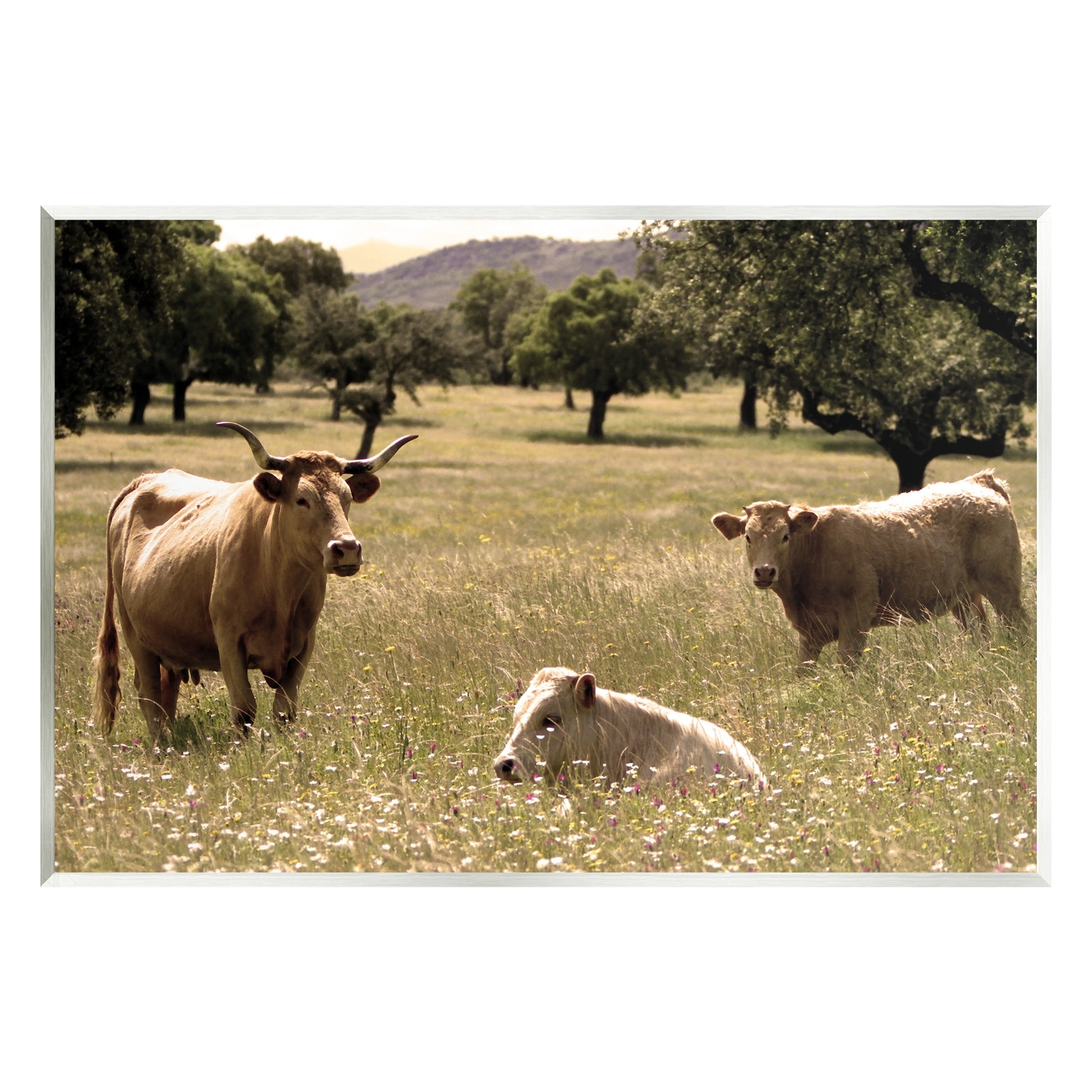 Stupell Industries Three Cattle Relaxing Grassland Pasture Rural Farm Trees Photograph Unframed Art Print Wall Art, Design by Daphne Polselli