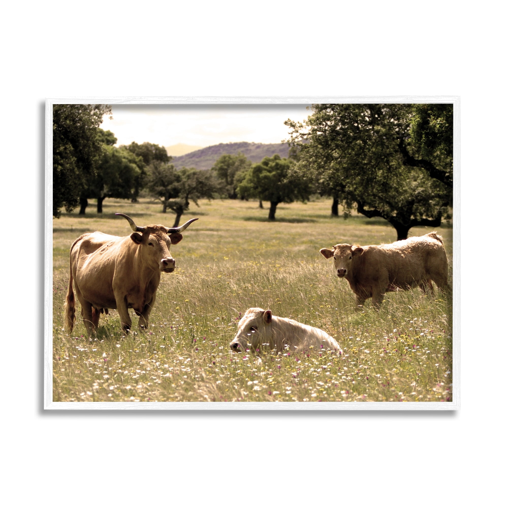 Stupell Industries Three Cattle Relaxing Grassland Pasture Rural Farm Trees Photograph White Framed Art Print Wall Art, Design by Daphne Polselli