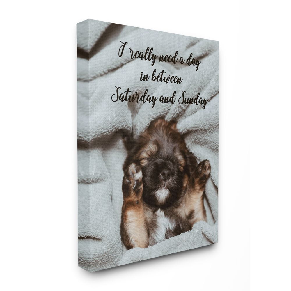 Stupell Industries Three Day Weekend Phrase Funny Puppy Pet Humor Canvas Wall Art Design by Ziwei Li, 36" x 48"