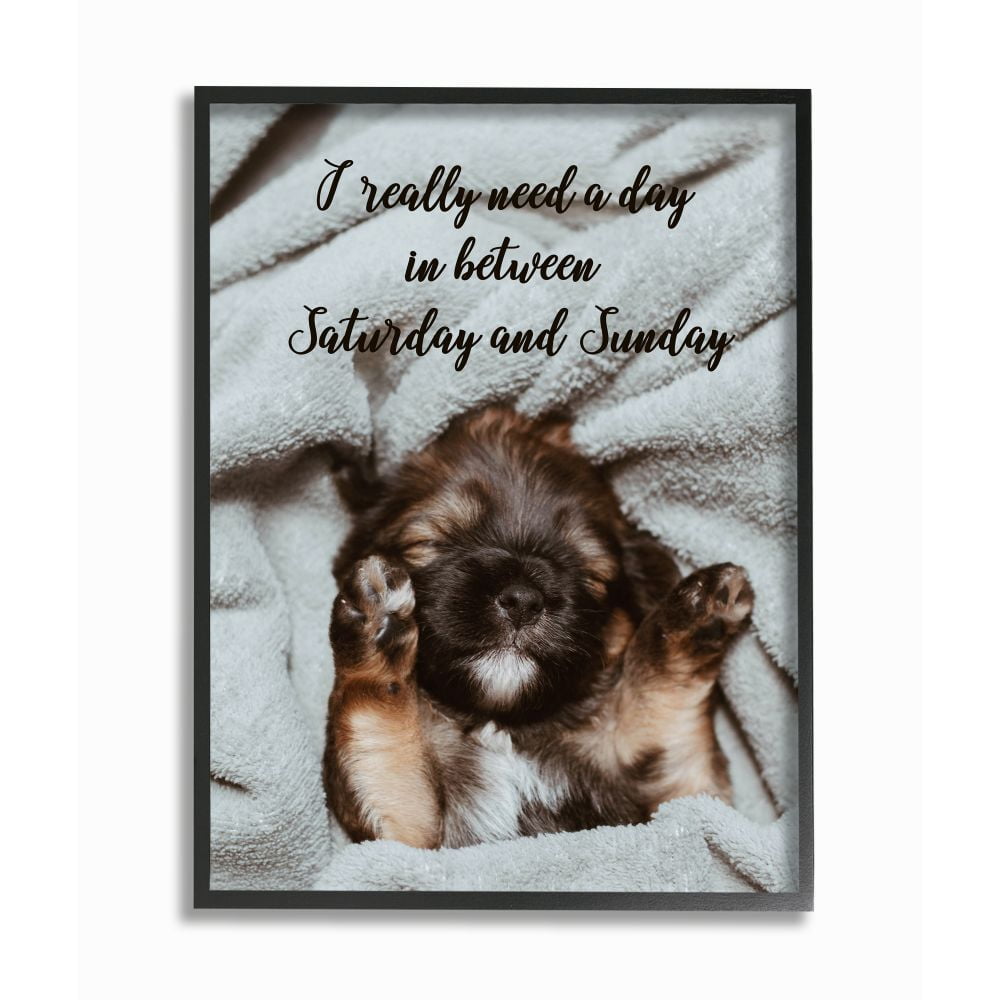 Stupell Industries Three Day Weekend Phrase Funny Puppy Pet Humor Framed Wall Art Design by Ziwei Li, 11" x 14", Black Framed