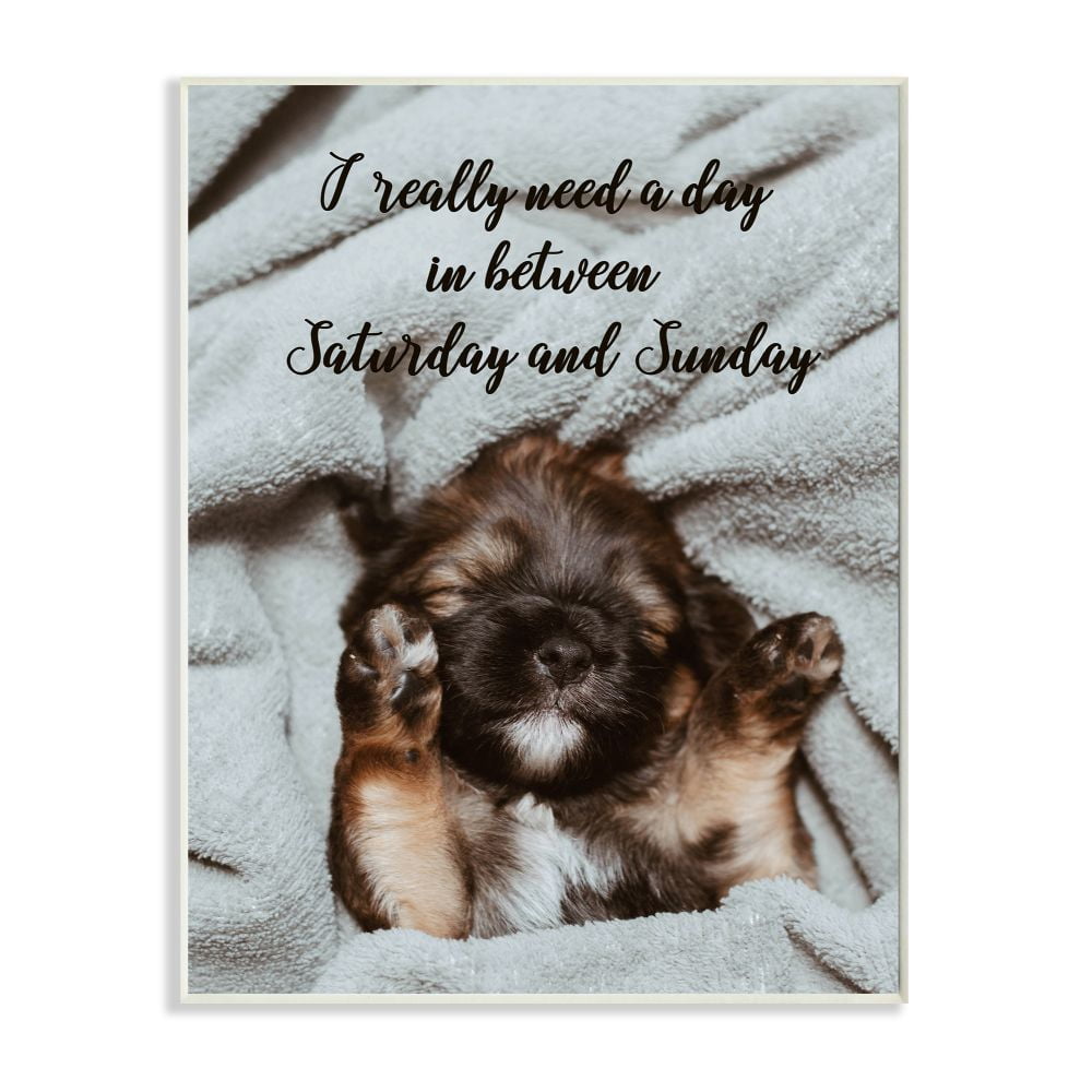 Stupell Industries Three Day Weekend Phrase Funny Puppy Pet Humor Wall Plaque Design by Ziwei Li