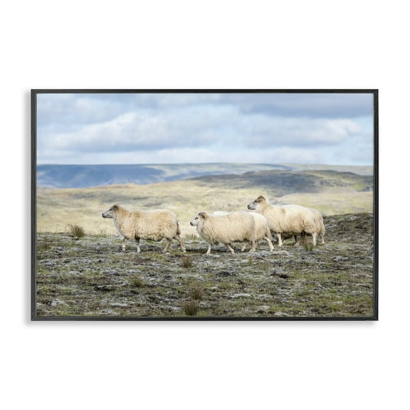Stupell Industries Three Friends Sheep in Nature Black Framed Giclee Art design by D. Burt, 16 x 24