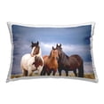 thumbnail image 1 of Stupell Industries Three Horses in Nature Decorative Printed Throw Pillow, 14 x 20, 1 of 8