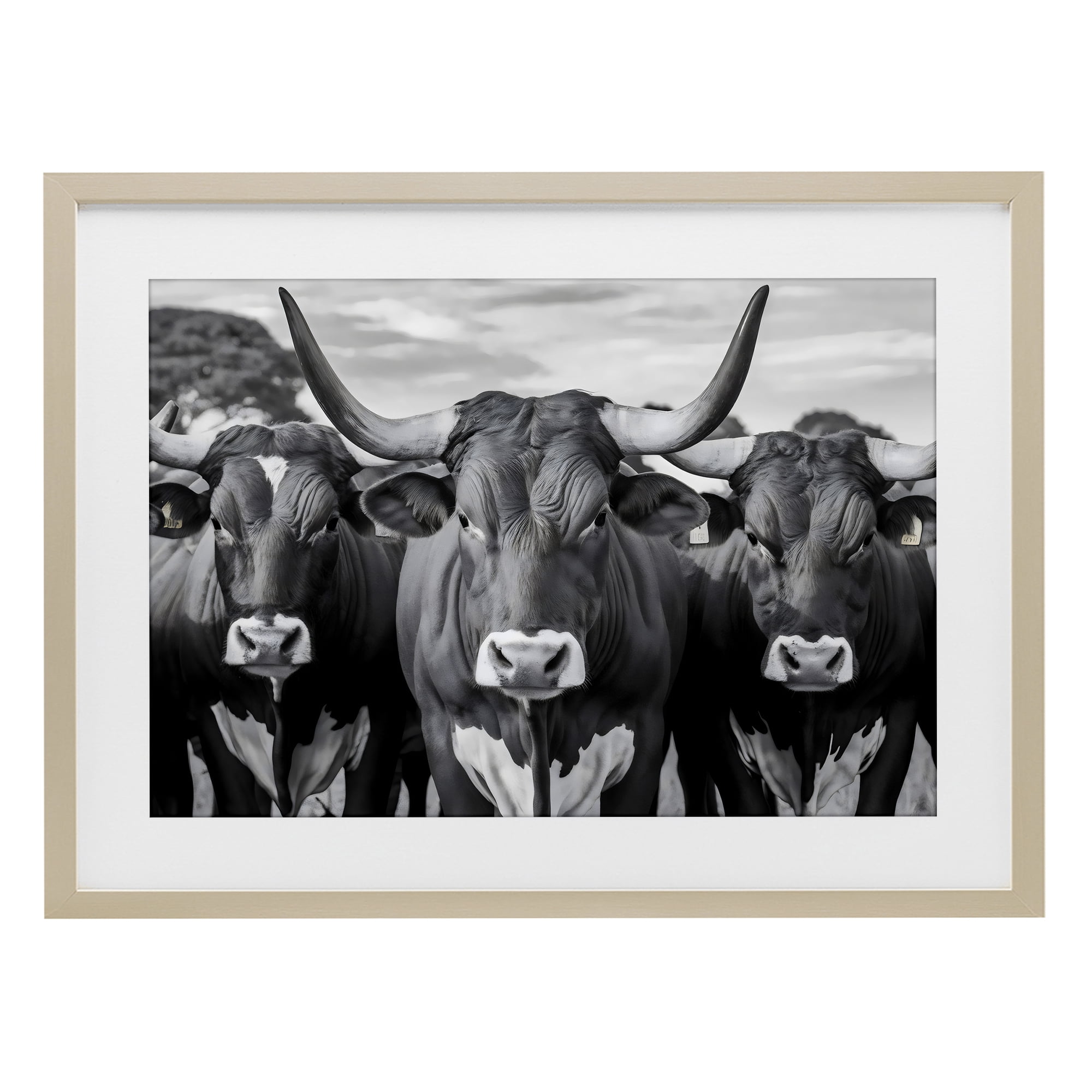 Stupell Industries Three Longhorns in a Row Birch Framed Print Under Glass, design by Creative Studio