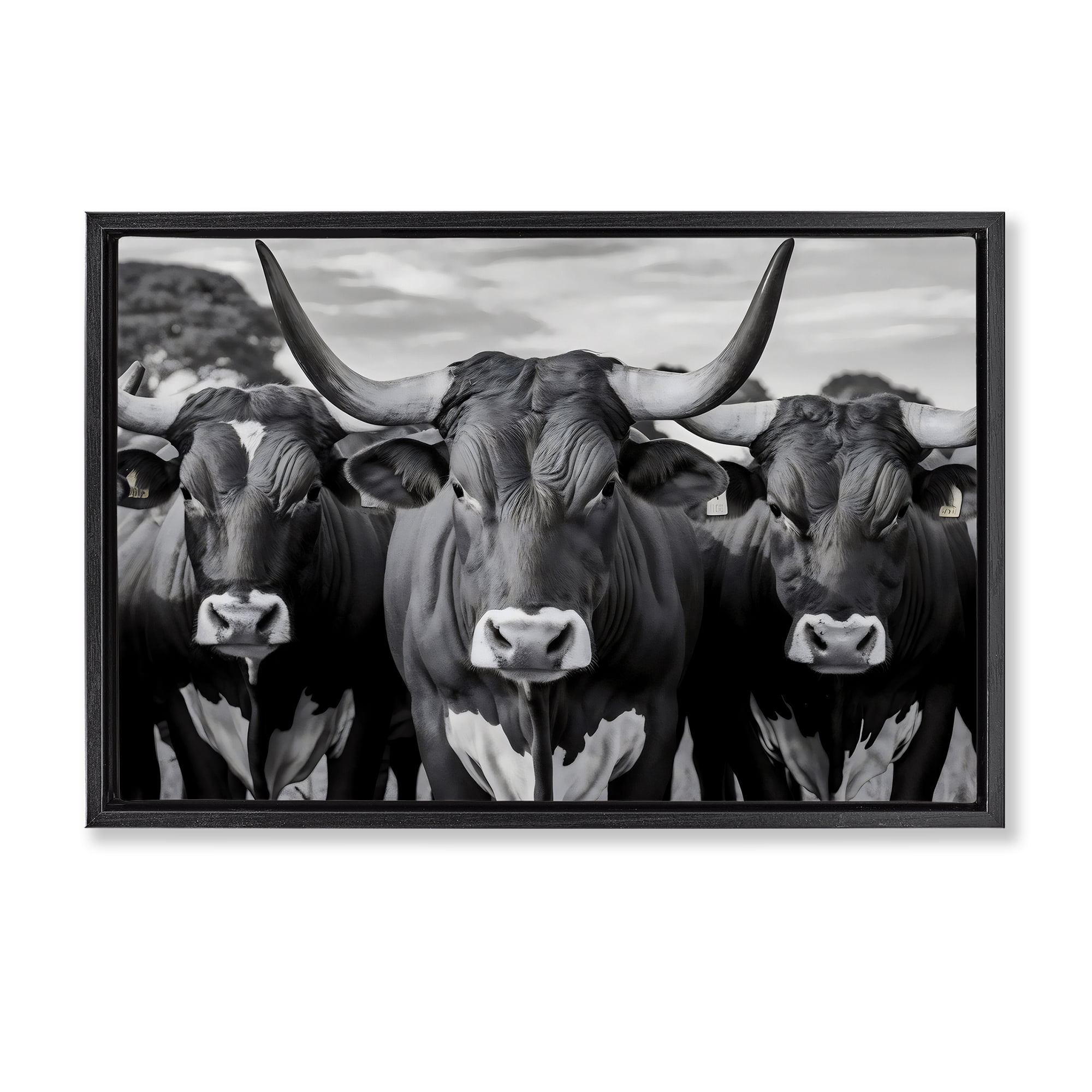 Stupell Industries Three Longhorns in a Row Black Framed Floater Canvas Wall Art, design by Creative Studio