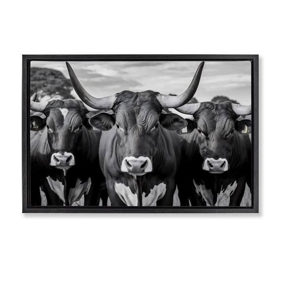 Stupell Industries Traditional Three Longhorns in a Row Black Floating Frame Canvas Art, 25 x 17, by Creative Studio