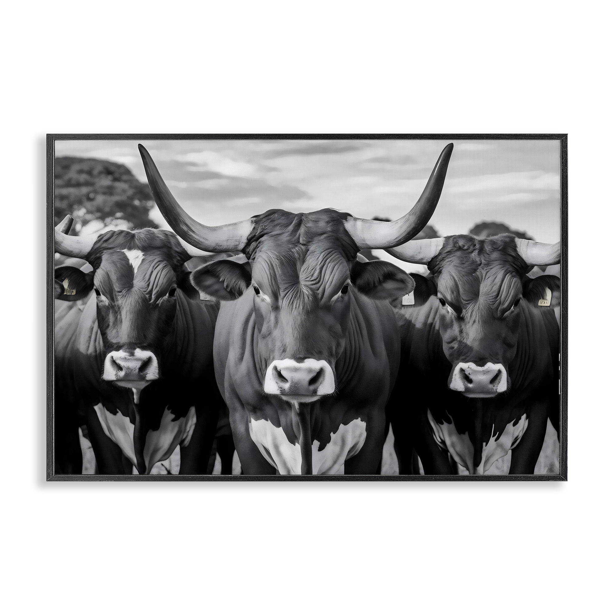 Stupell Industries Three Longhorns in a Row Black Framed Giclee Art, design by Creative Studio