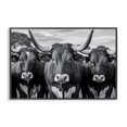 thumbnail image 1 of Stupell Industries Traditional Three Longhorns in a Row Black Framed Giclee Art, 18 x 12, by Creative Studio, 1 of 8