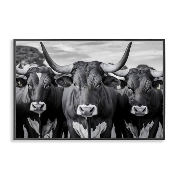 Stupell Industries Traditional Three Longhorns in a Row Black Framed Giclee Art, 18 x 12, by Creative Studio