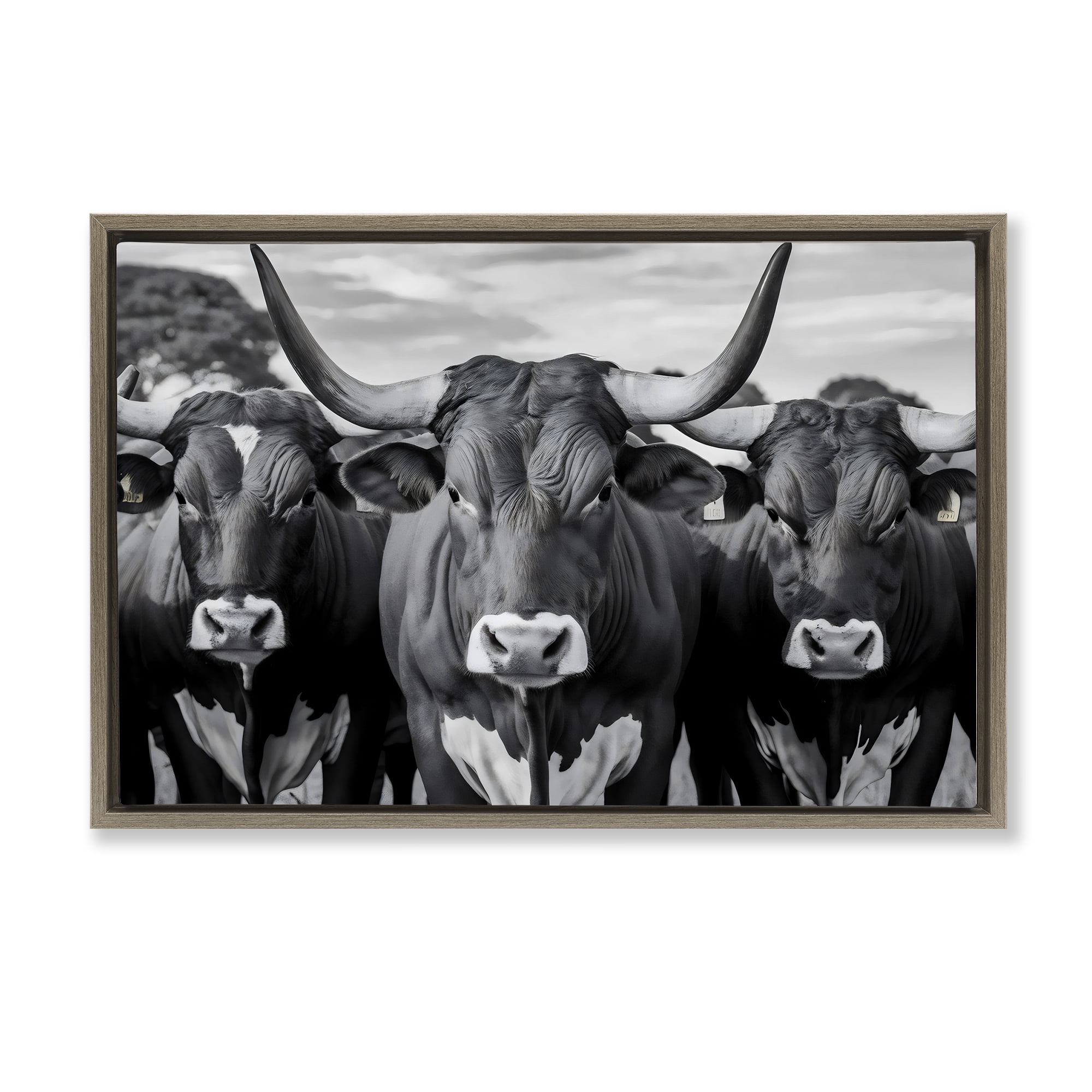 Stupell Industries Three Longhorns in a Row Brown Framed Floater Canvas Wall Art, design by Creative Studio