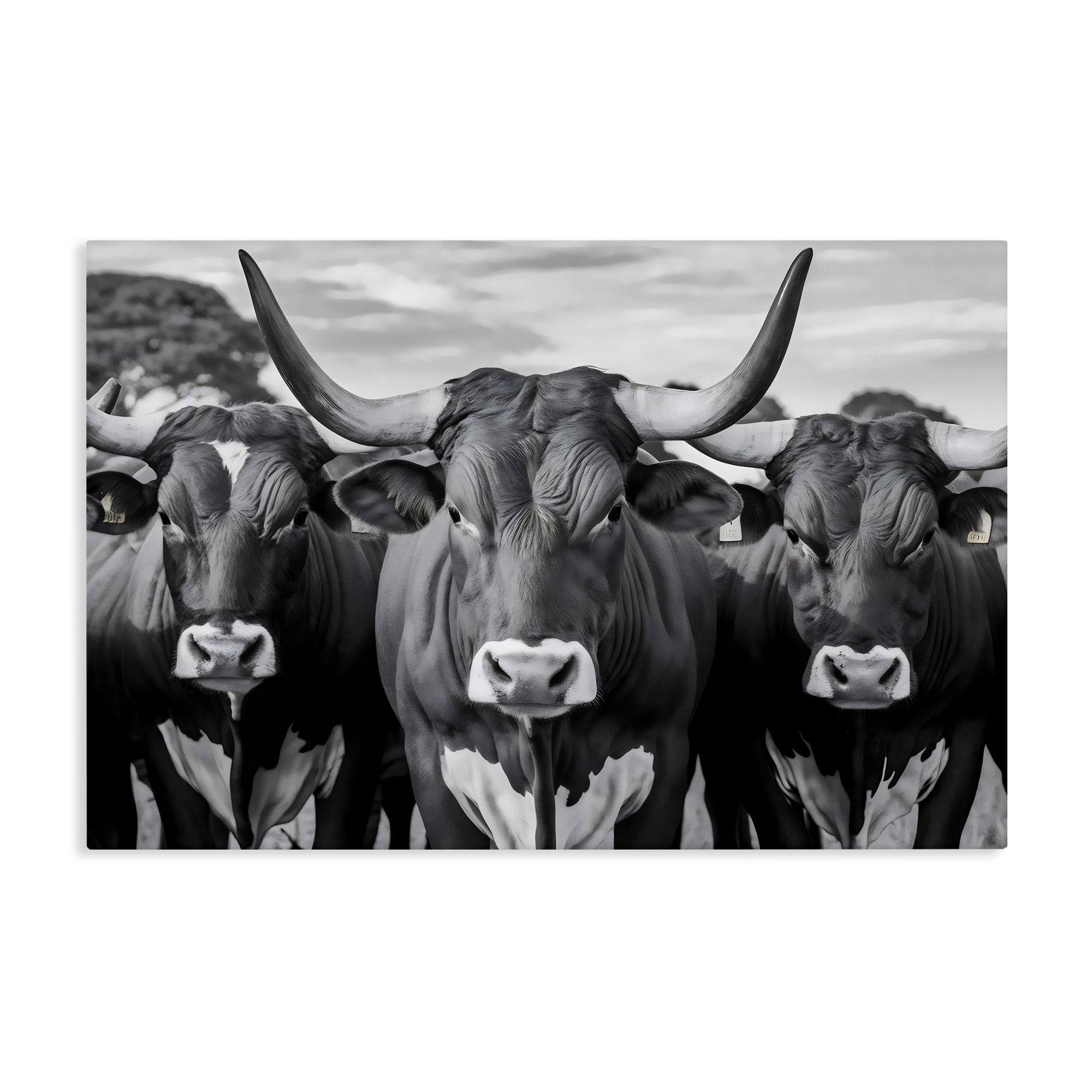 Stupell Industries Three Longhorns in a Row Canvas Wall Art, design by Creative Studio