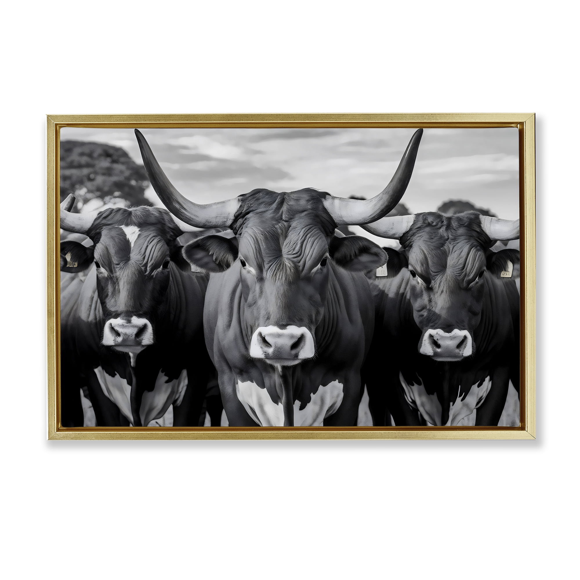 Stupell Industries Three Longhorns in a Row Gold Framed Floater Canvas Wall Art, design by Creative Studio