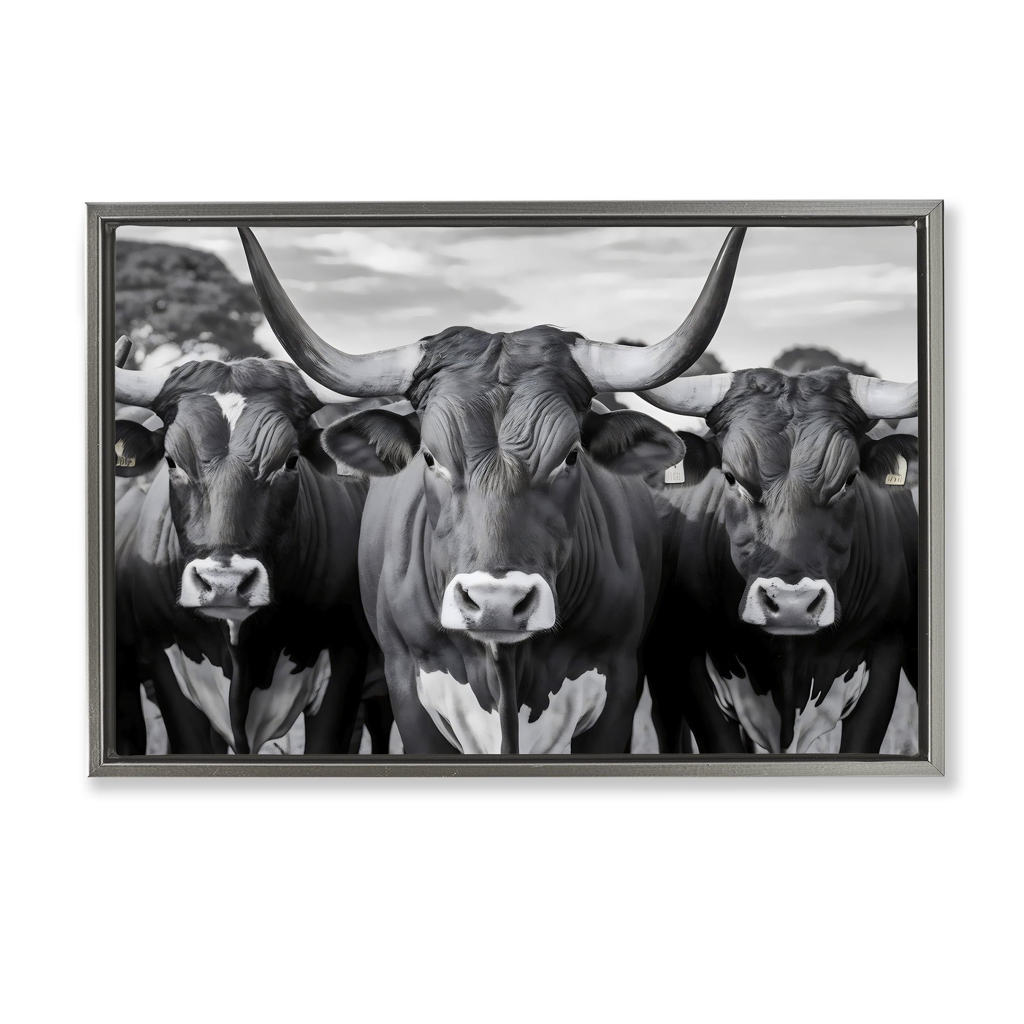 Stupell Industries Three Longhorns in a Row Gray Framed Floater Canvas Wall Art, design by Creative Studio