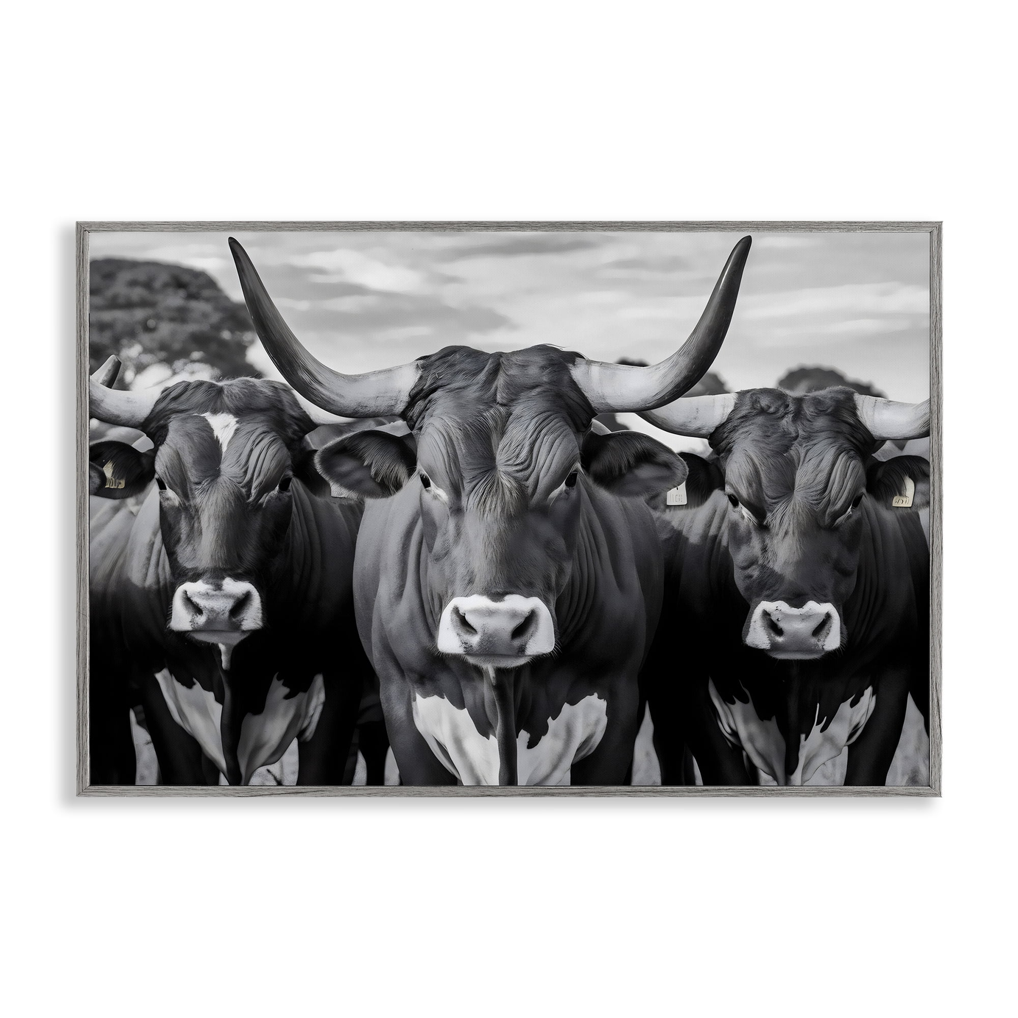 Stupell Industries Three Longhorns in a Row Gray Framed Giclee Art, design by Creative Studio