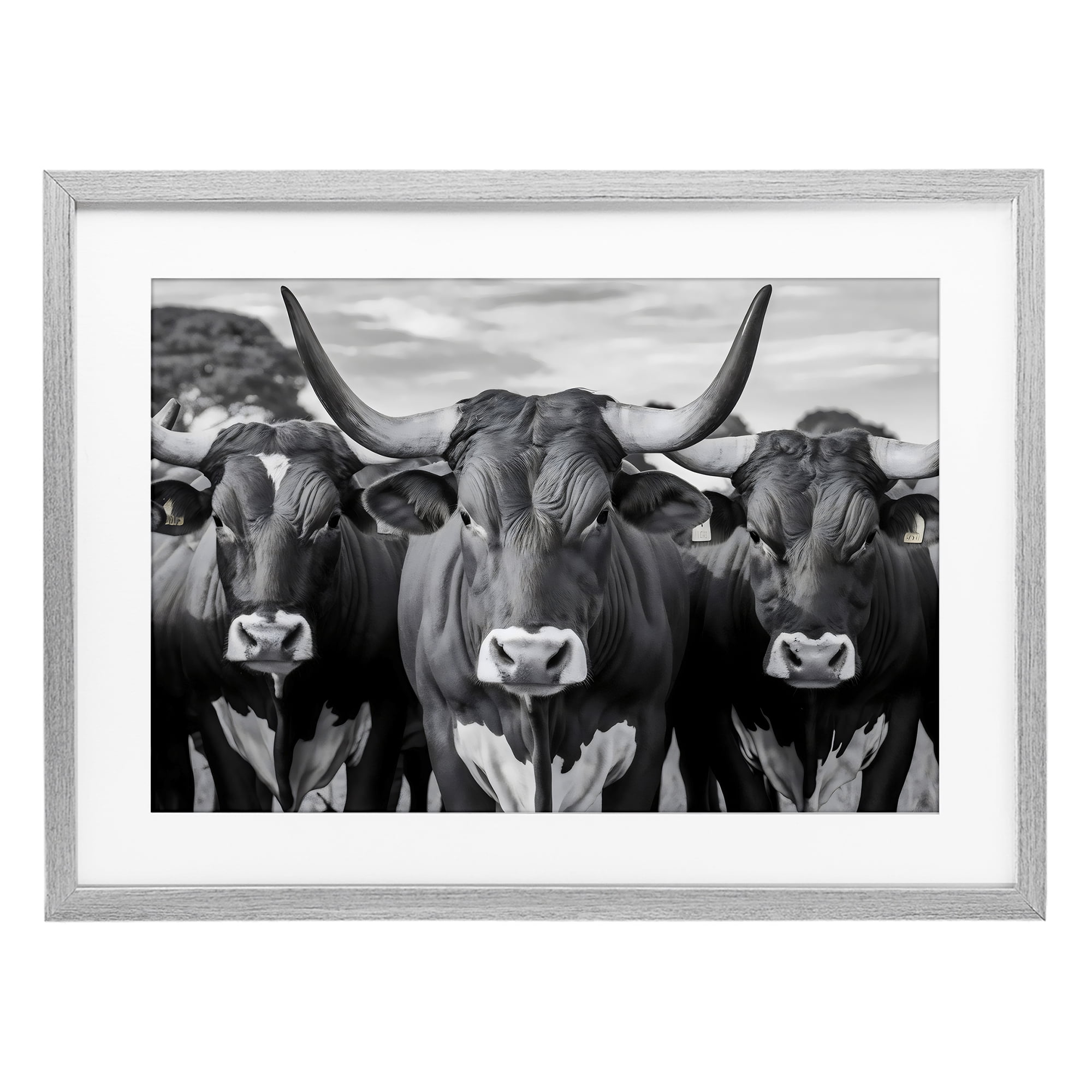 Stupell Industries Three Longhorns in a Row Gray Framed Print Under Glass, design by Creative Studio