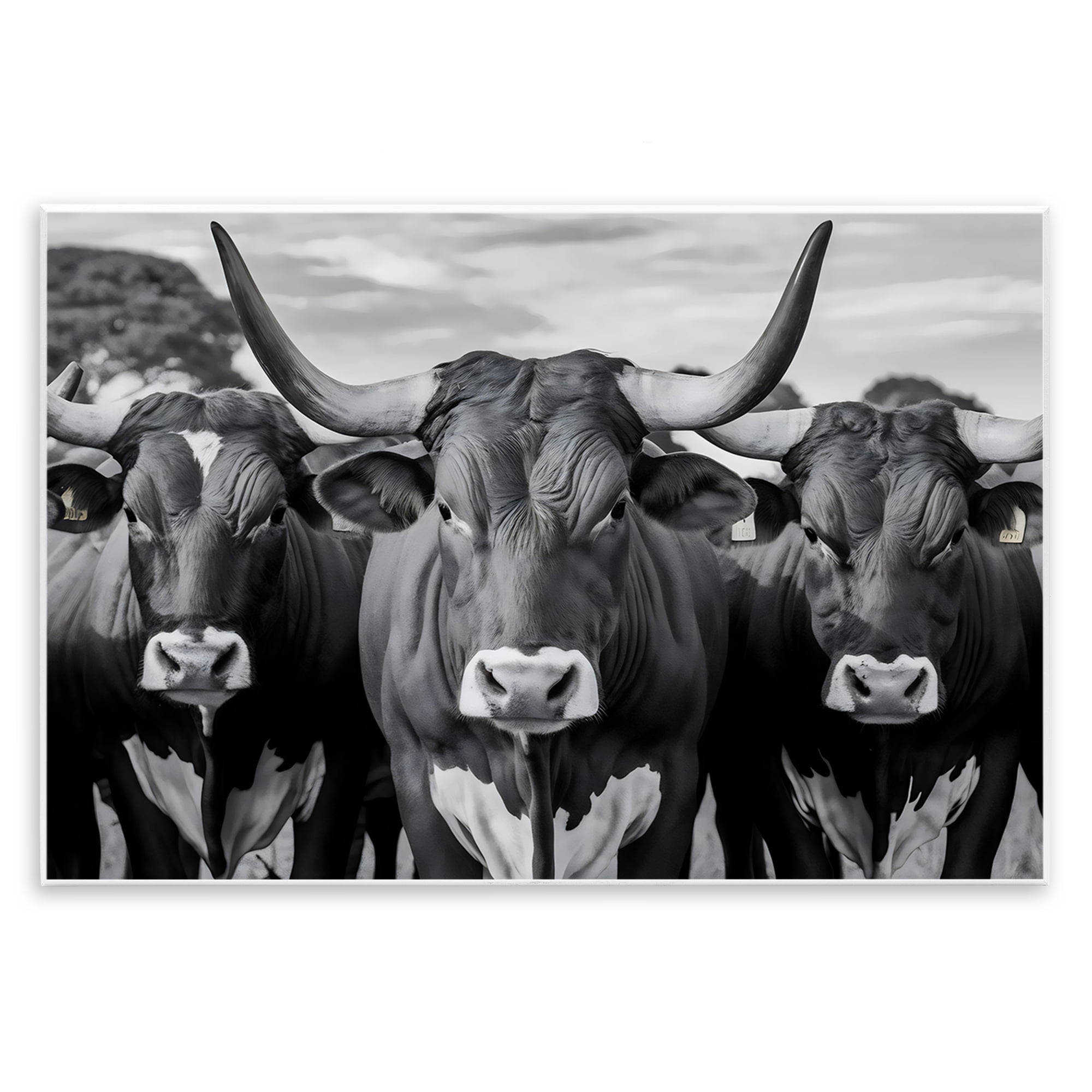 Stupell Industries Three Longhorns in a Row Wall Plaque Art, design by Creative Studio