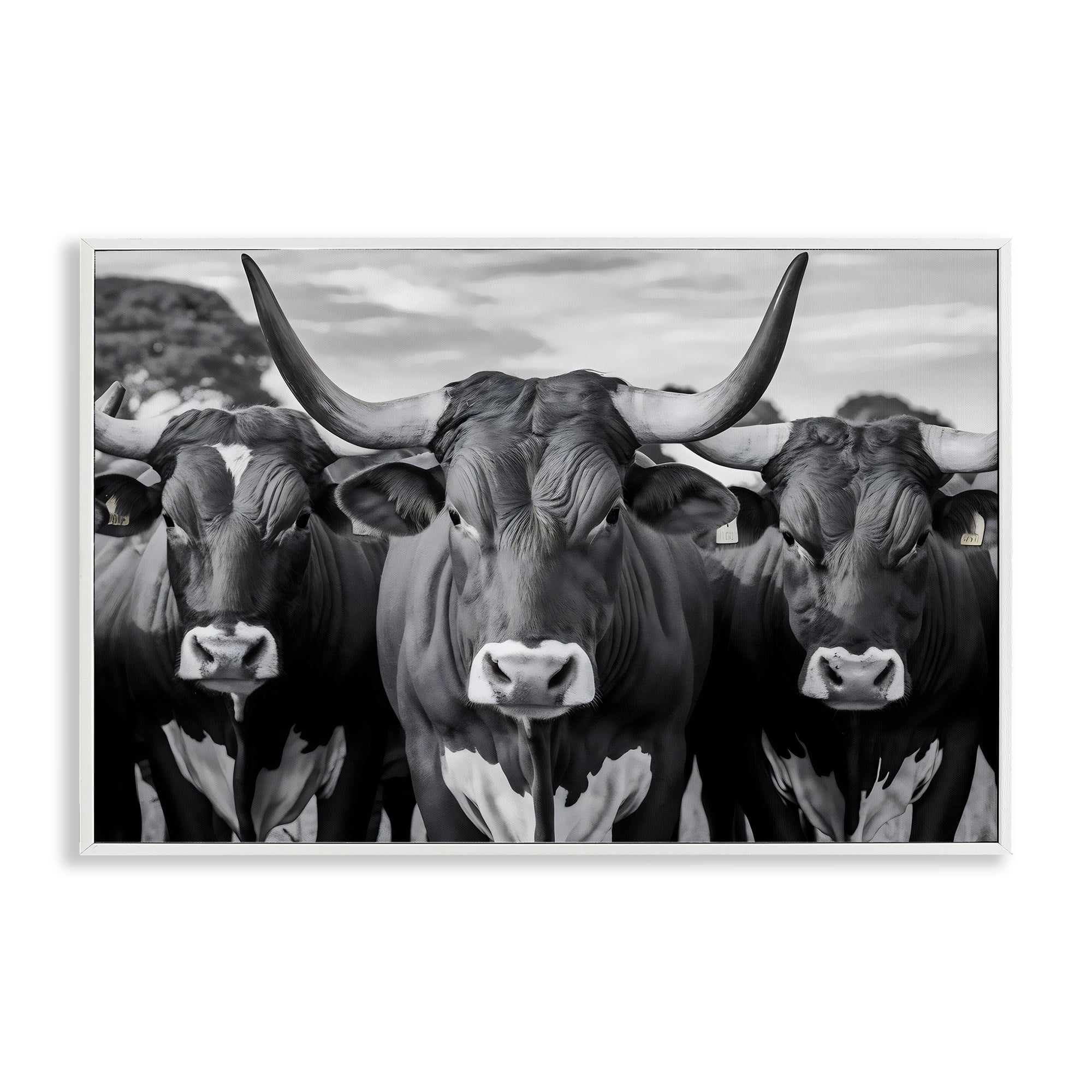Stupell Industries Three Longhorns in a Row White Framed Giclee Art, design by Creative Studio